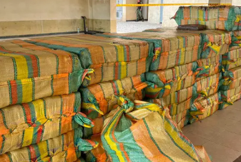 Ejército incautó más de una tonelada y media de marihuana en Casanare