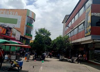 Gran feria en la calle de las ‘Palmaditas’