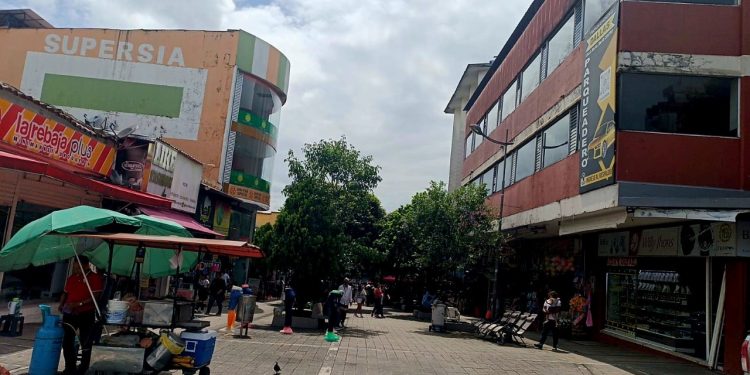 Gran feria en la calle de las ‘Palmaditas’