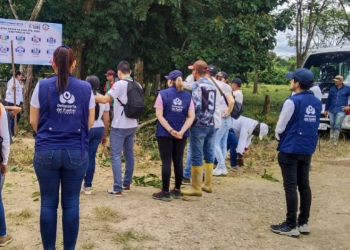 Defensoría llama a actores armados a respetar mínimos humanitarios en Arauca